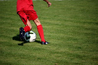 kaiyun网站-篮球运动员专项技能训练课程体系创新探索，篮球专项训练方案